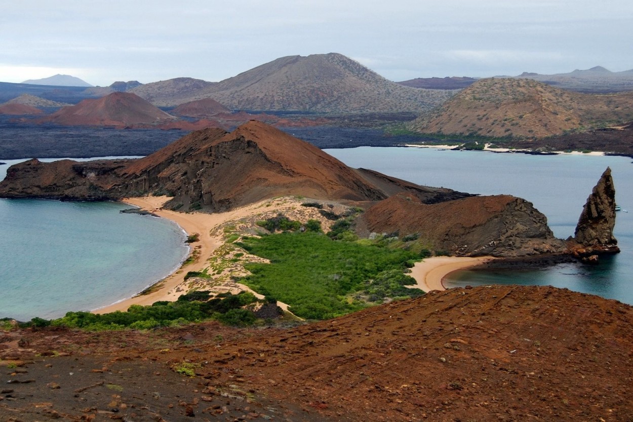 Photo report “Galápagos Islands Diving Safari”.