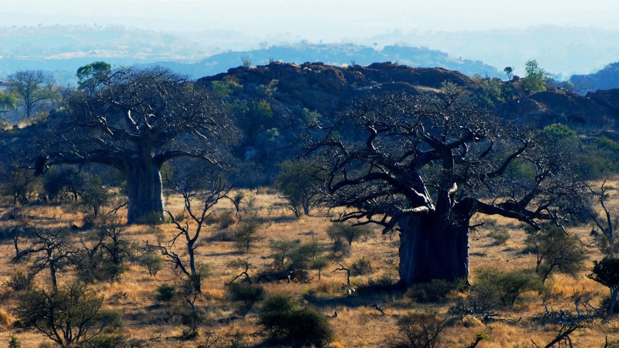 Фоторепортаж “Африка – Земля Бушменов”