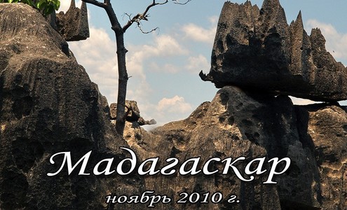 Film “Madagascar”.