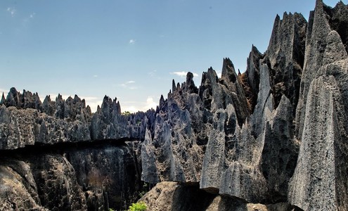 Video. Stone Forest. Tsingy de Bemaraha National Park. Madagascar.