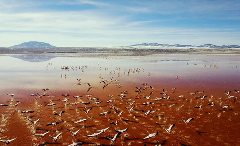 Video. Laguna Verde. Laguna Colorada. Salar de Uyuni. Eduardo Avaroa Andean Fauna National Reserve. Bolivia. 4K.