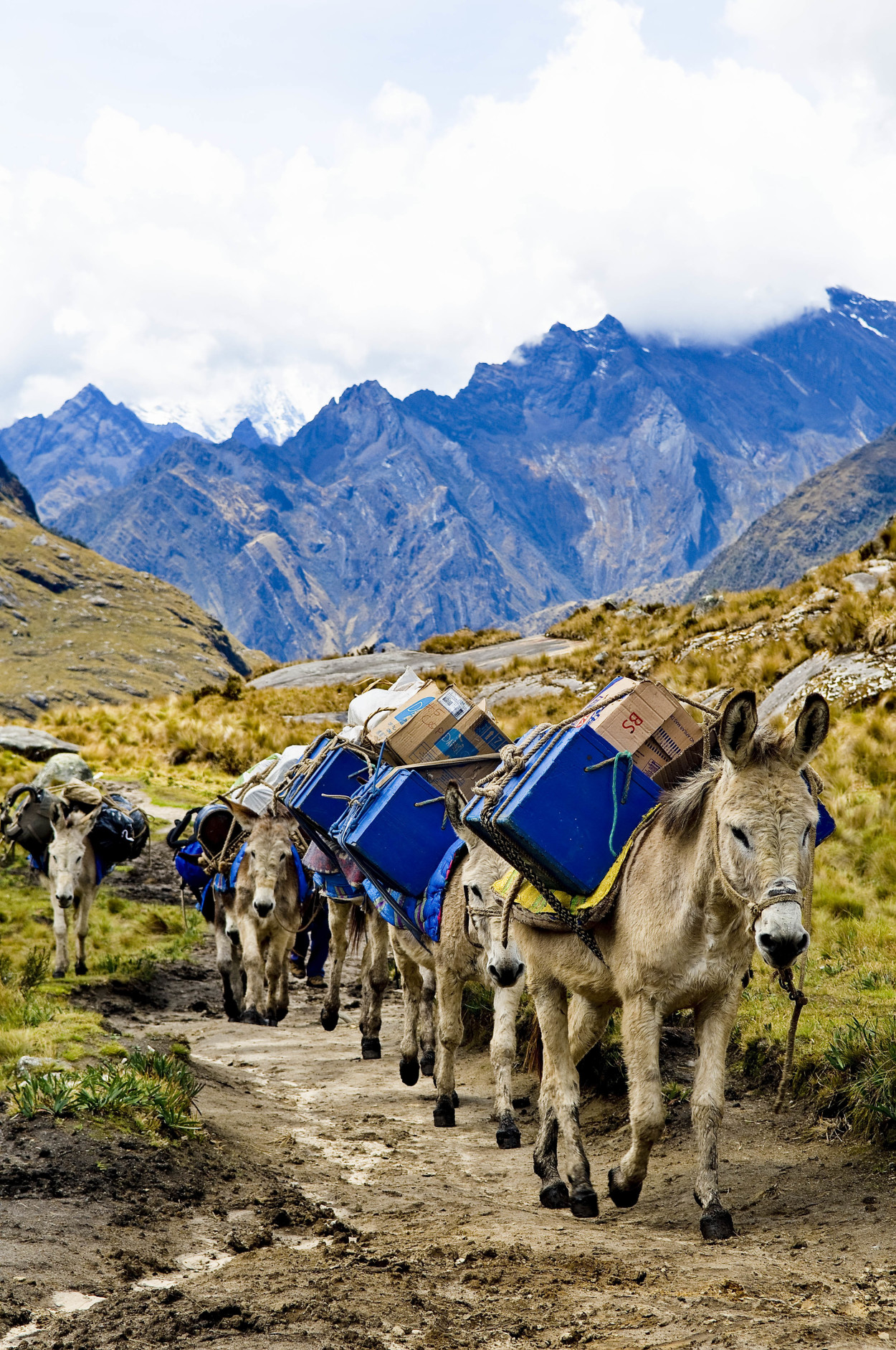 Photo report “Roads of The Inca or The Journey to Peru”.