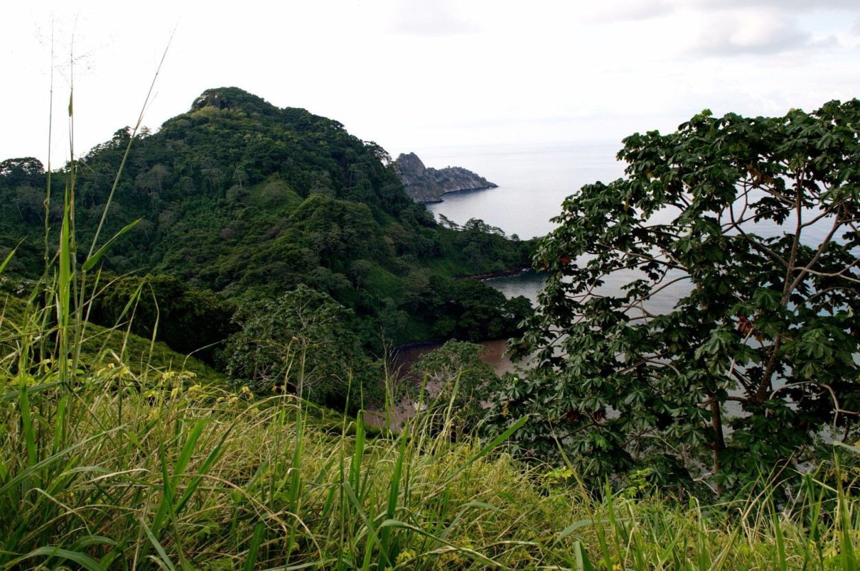 Фоторепортаж “Дайвинг сафари на острове Кокос. Коста-Рика”.