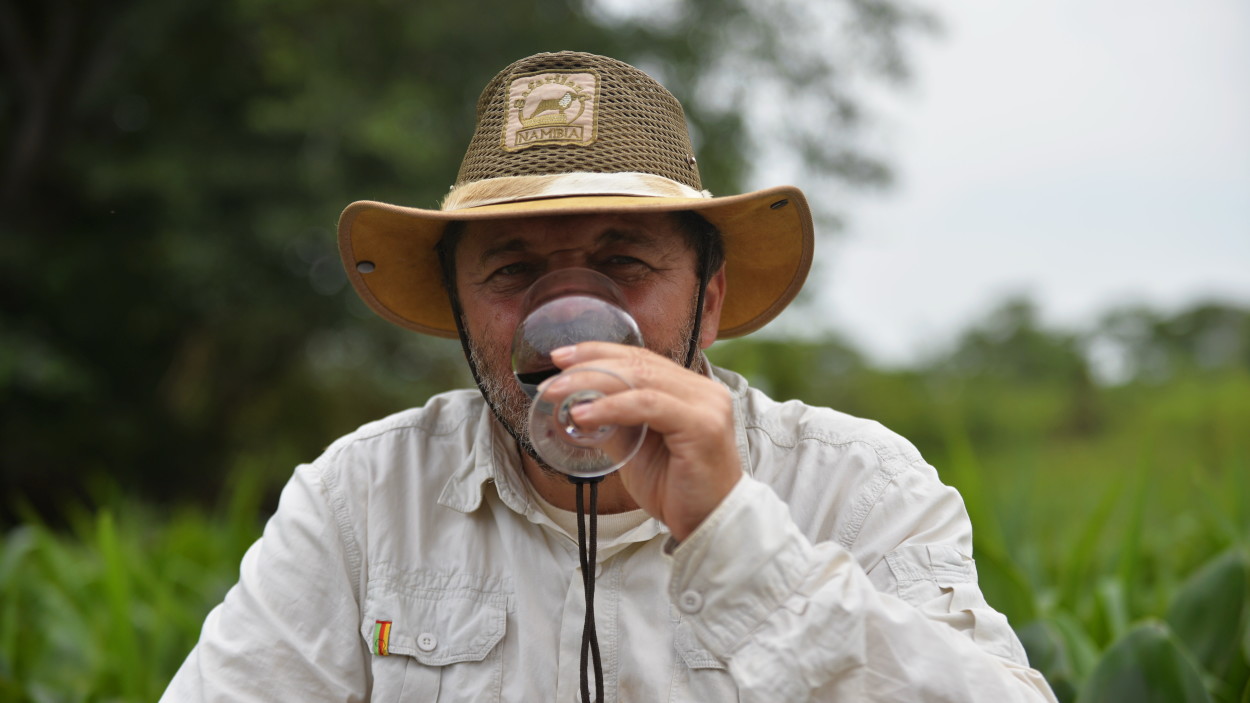 Photo report “Pantanal. On the trail of the jaguar”.