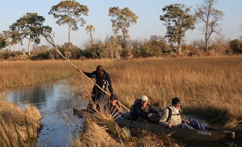 Video. Safari down the Delta of the Okavango River. Okavango National Park. Botswana.