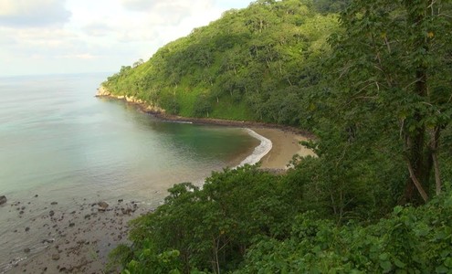 Film “Diving Safari on Cocos Island”. Carara and Cocos Islan National Parks. Costa-Rica.