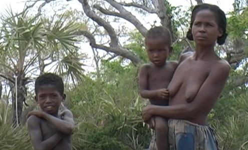 Video. Destruction of the nature of Madagascar. Extreme jeep safari 4×4.