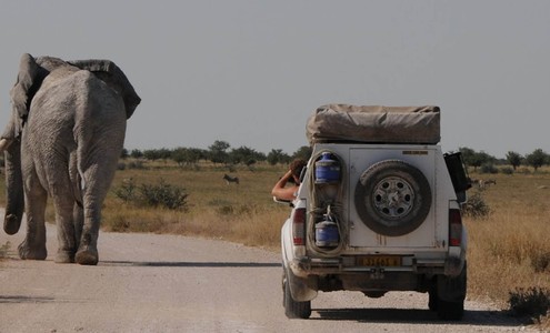 Видео. Национальный парк Этоша. Намибия.