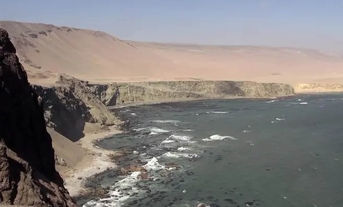 Video. Condor in the Atacama Desert. Peru.