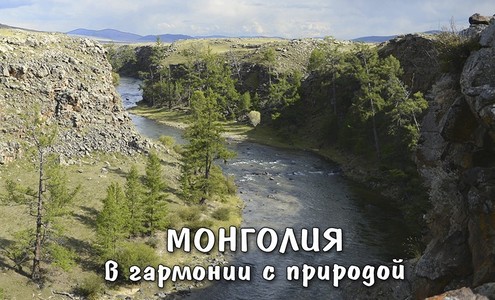 Film “Mongolia. In Harmony with The Nature”.