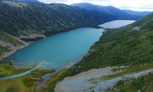 Video. Multinskiye lakes. Biosphere reserve «Katunsky». Mountain Altai. Russia.