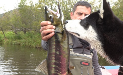 Видео. Рыбалка на Камчатке. Сплав по реке Опала. 4К.