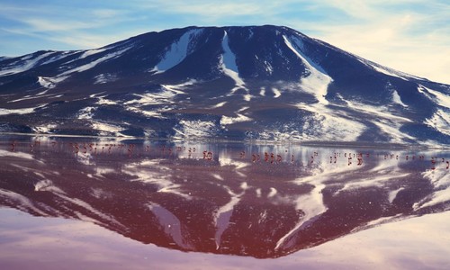 Видео. Красная лагуна. Фламинго у снежных вершин Анд Боливия. 4K.